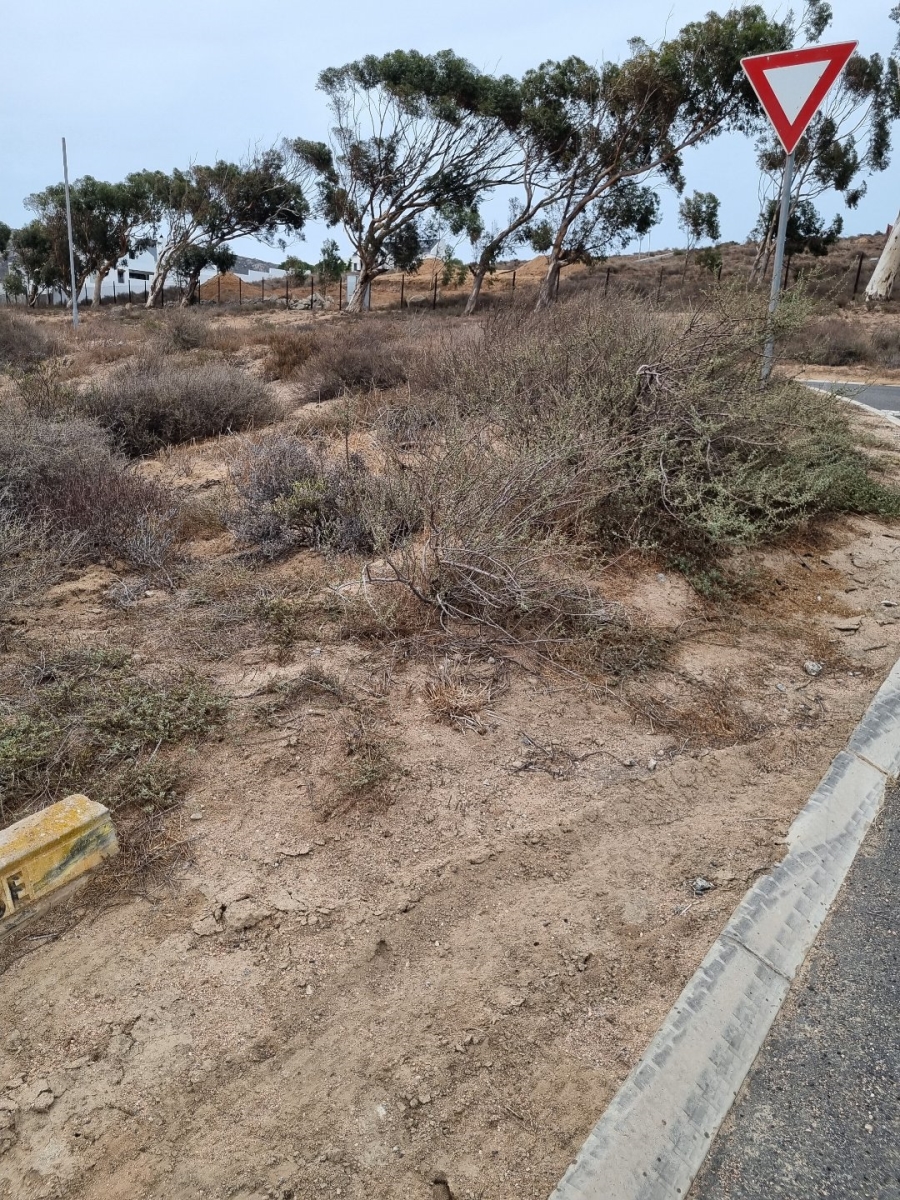 3 Bedroom Property for Sale in St Helena Views Western Cape